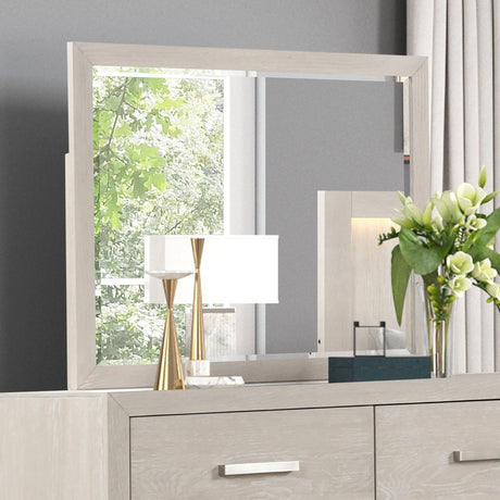Wellingborough Light Gray Mirror by Furniture of America at Eve Furniture