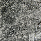 West Coast Chronicles II by Mercana Studio a Hand Embellished Textured Canvas by Mercana at Eve Furniture