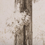 Westcoast Tree Drawing I by Mercana Studio a Hand Embellished Textured Canvas by Mercana at Eve Furniture