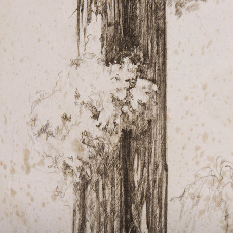 Westcoast Tree Drawing I by Mercana Studio a Hand Embellished Textured Canvas by Mercana at Eve Furniture