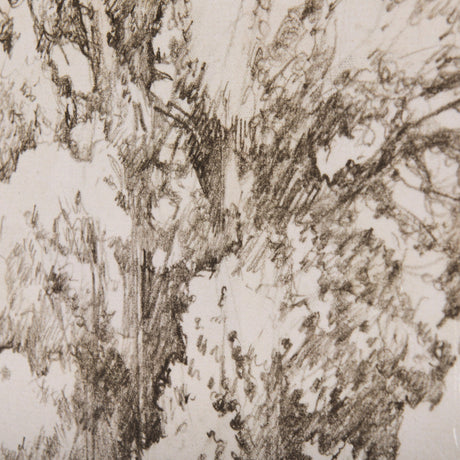 Westcoast Tree Drawing I by Mercana Studio a Hand Embellished Textured Canvas by Mercana at Eve Furniture