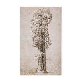 Westcoast Tree Drawing I by Mercana Studio a Hand Embellished Textured Canvas by Mercana at Eve Furniture