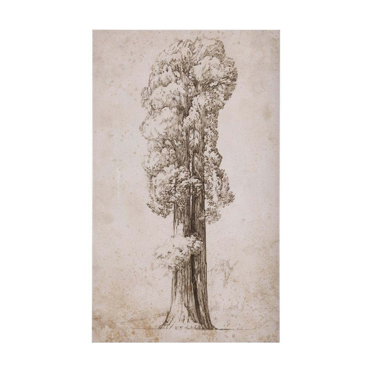 Westcoast Tree Drawing I by Mercana Studio a Hand Embellished Textured Canvas by Mercana at Eve Furniture