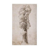 Westcoast Tree Drawing I by Mercana Studio a Hand Embellished Textured Canvas by Mercana at Eve Furniture