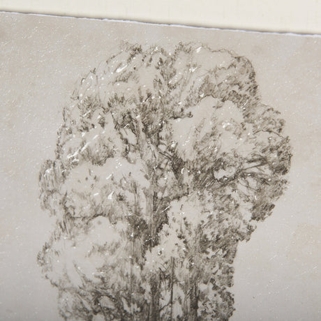 Westcoast Tree Drawing I by Mercana Studio Hand Embellished Framed Art Print Matted under Glass by Mercana at Eve Furniture