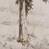 Westcoast Tree Drawing II by Mercana Studio a Hand Embellished Textured Canvas by Mercana at Eve Furniture