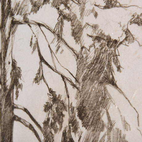 Westcoast Tree Drawing II by Mercana Studio a Hand Embellished Textured Canvas by Mercana at Eve Furniture