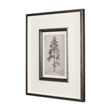 Westcoast Tree Drawing II by Mercana Studio Hand Embellished Framed Art Print Matted under Glass by Mercana at Eve Furniture