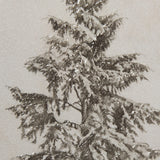 Westcoast Tree Drawing II by Mercana Studio Hand Embellished Framed Art Print Matted under Glass by Mercana at Eve Furniture