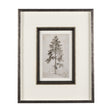 Westcoast Tree Drawing II by Mercana Studio Hand Embellished Framed Art Print Matted under Glass by Mercana at Eve Furniture