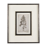 Westcoast Tree Drawing II by Mercana Studio Hand Embellished Framed Art Print Matted under Glass by Mercana at Eve Furniture