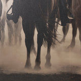 Western Horse Drive by Andreas Magnusson Textured FramedPhoto Print Matted under Glass by Mercana at Eve Furniture