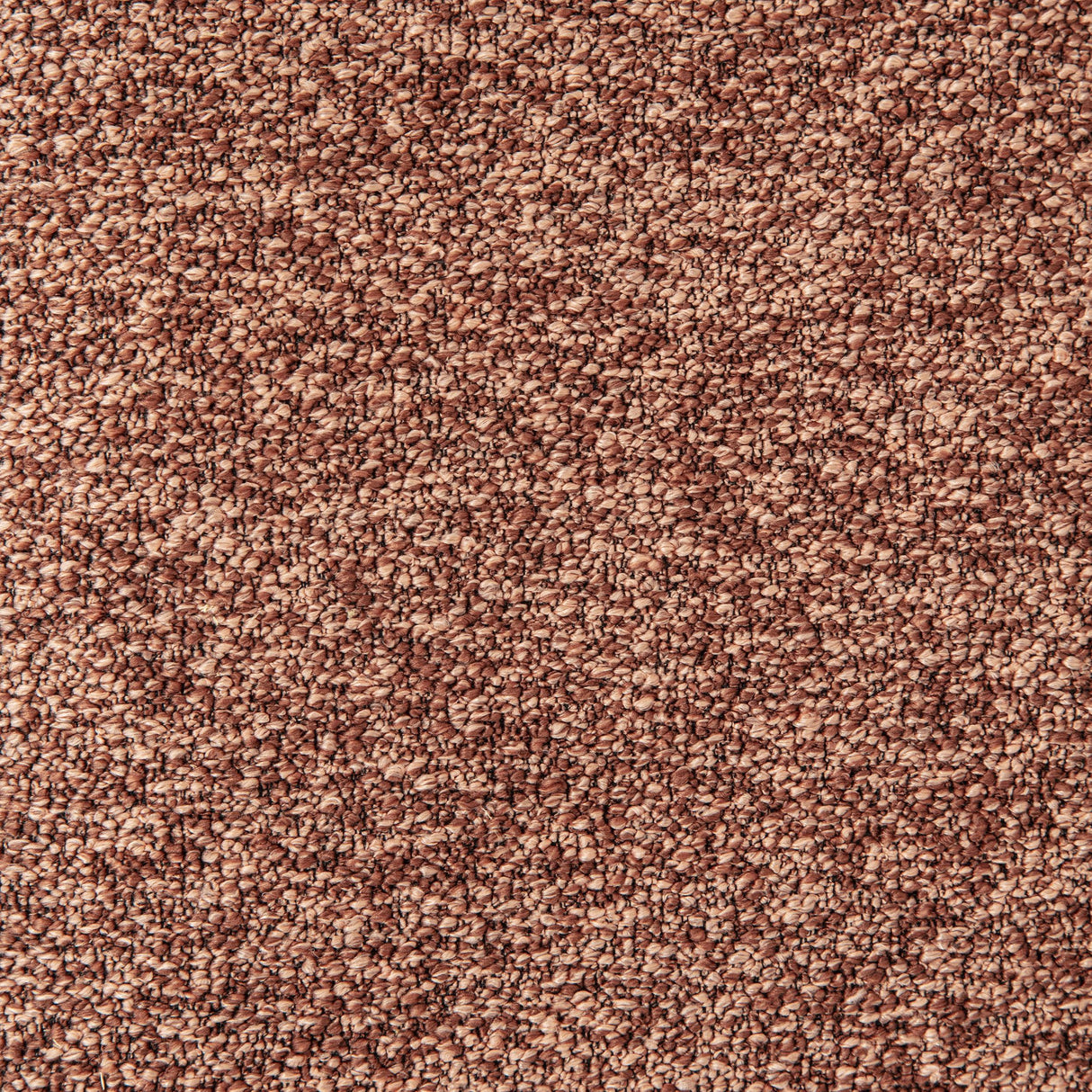 Westhill Berry Boucle Upholstered Swivel Accent Chair by Coaster at Eve Furniture