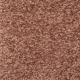 Westhill Berry Boucle Upholstered Swivel Accent Chair by Coaster at Eve Furniture