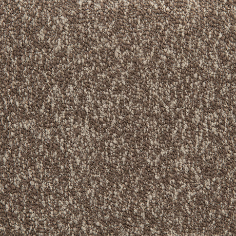 Westhill Rocky Road Boucle Upholstered Swivel Accent Chair by Coaster at Eve Furniture