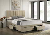 Wheatland Light Brown 4-drawer Upholstered Queen Storage Bed by Coaster at Eve Furniture