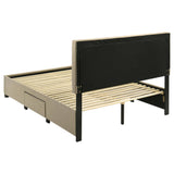 Wheatland Light Brown 4-drawer Upholstered Queen Storage Bed by Coaster at Eve Furniture