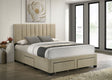 Wheatland Light Brown 4-drawer Upholstered Queen Storage Bed by Coaster at Eve Furniture