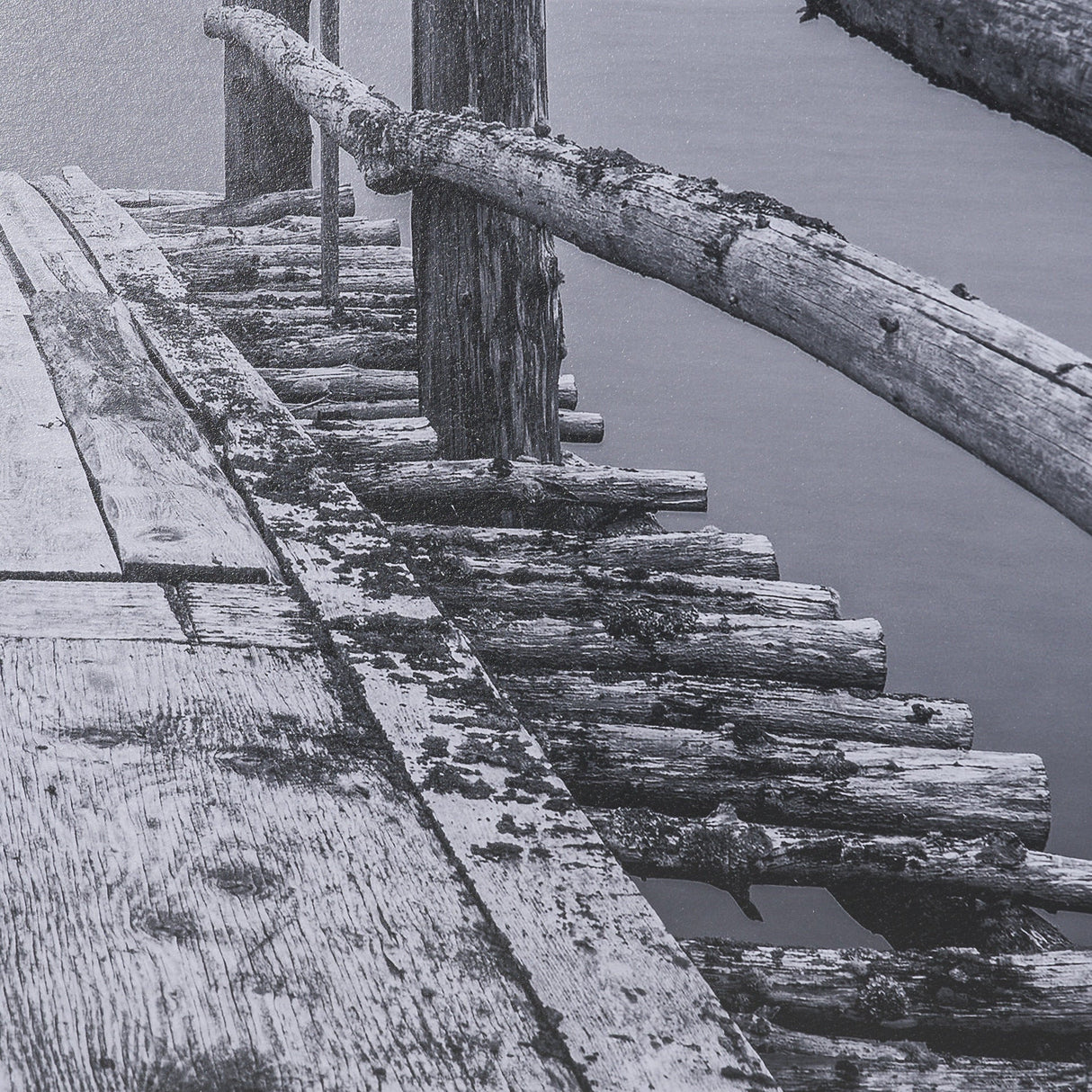 Where Water Waits by Chad Mackay Textured FramedPhoto Print Matted under Glass by Mercana at Eve Furniture
