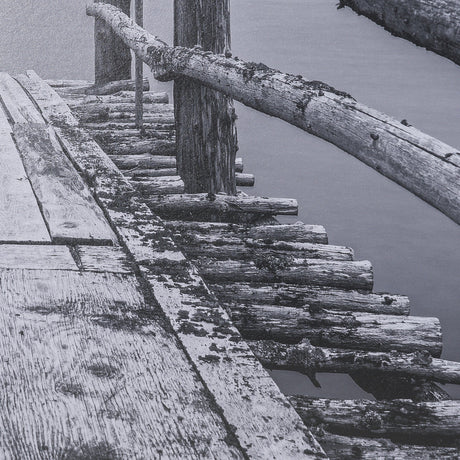 Where Water Waits by Chad Mackay Textured FramedPhoto Print Matted under Glass by Mercana at Eve Furniture