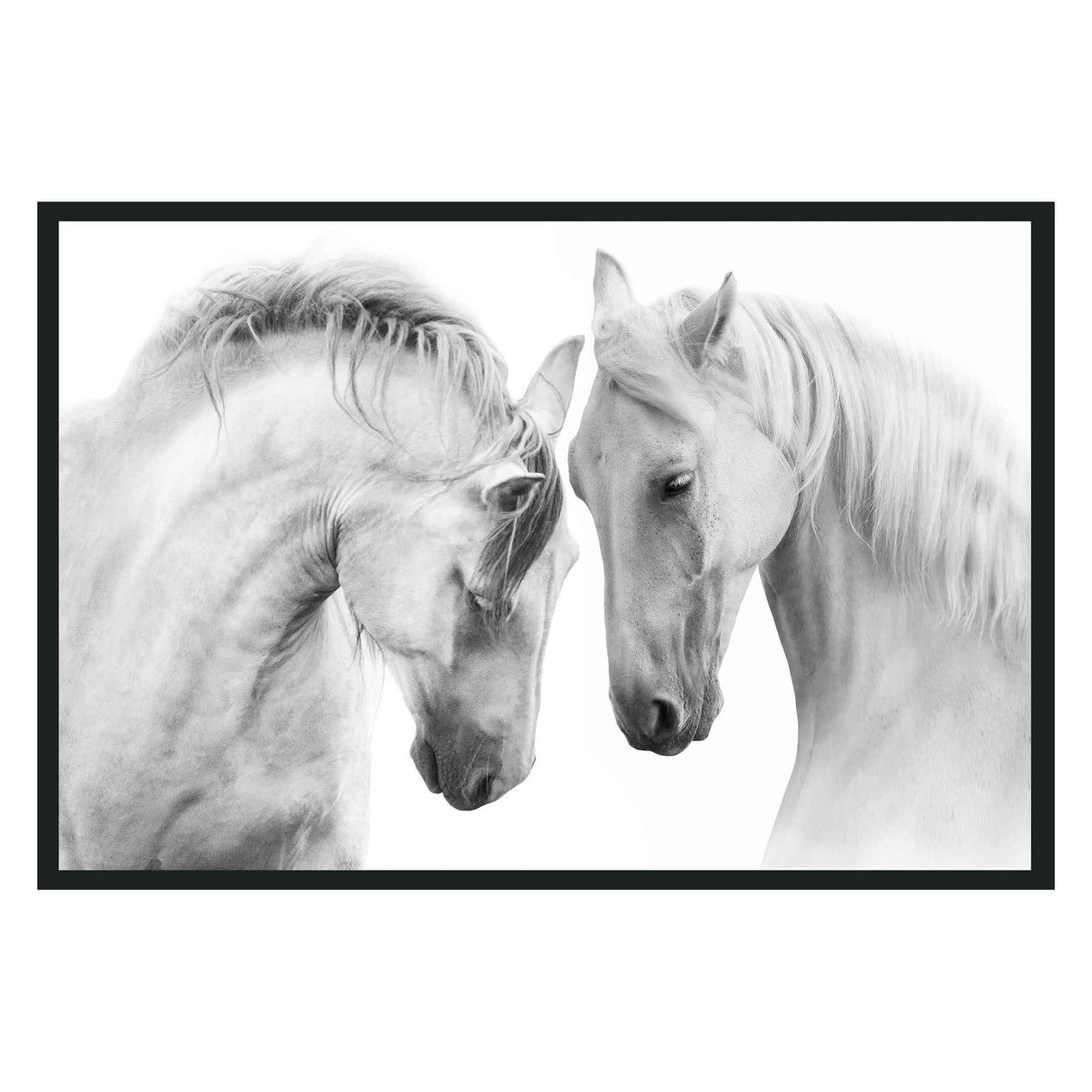 White Horses White Photography by Classic Home at Eve Furniture