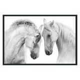 White Horses White Photography by Classic Home at Eve Furniture