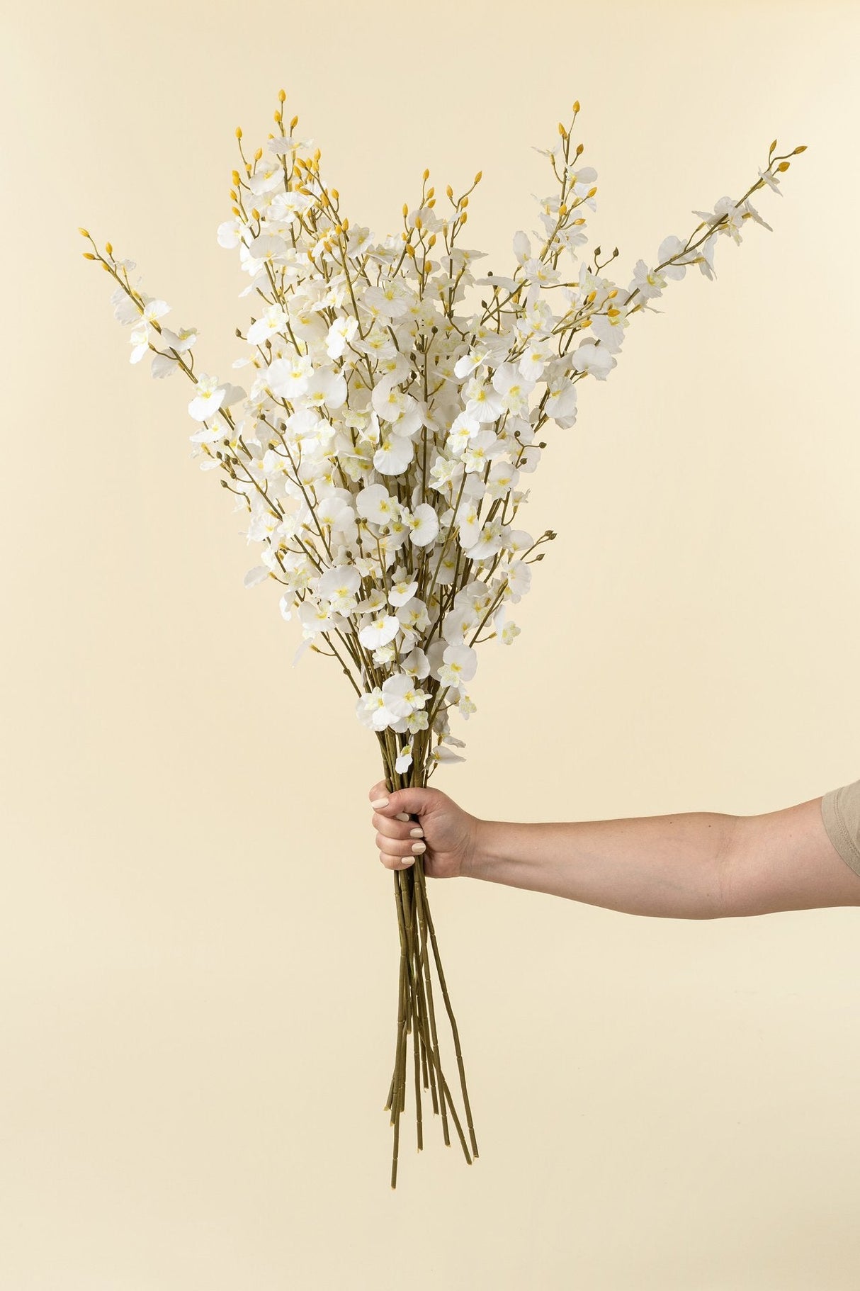 White Orchid Spray, Set of 36 by Mercana at Eve Furniture