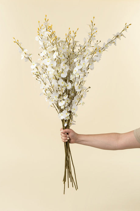 White Orchid Spray, Set of 36 by Mercana at Eve Furniture
