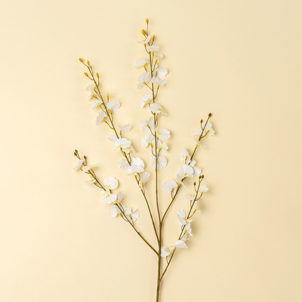 White Orchid Spray, Set of 36 by Mercana at Eve Furniture