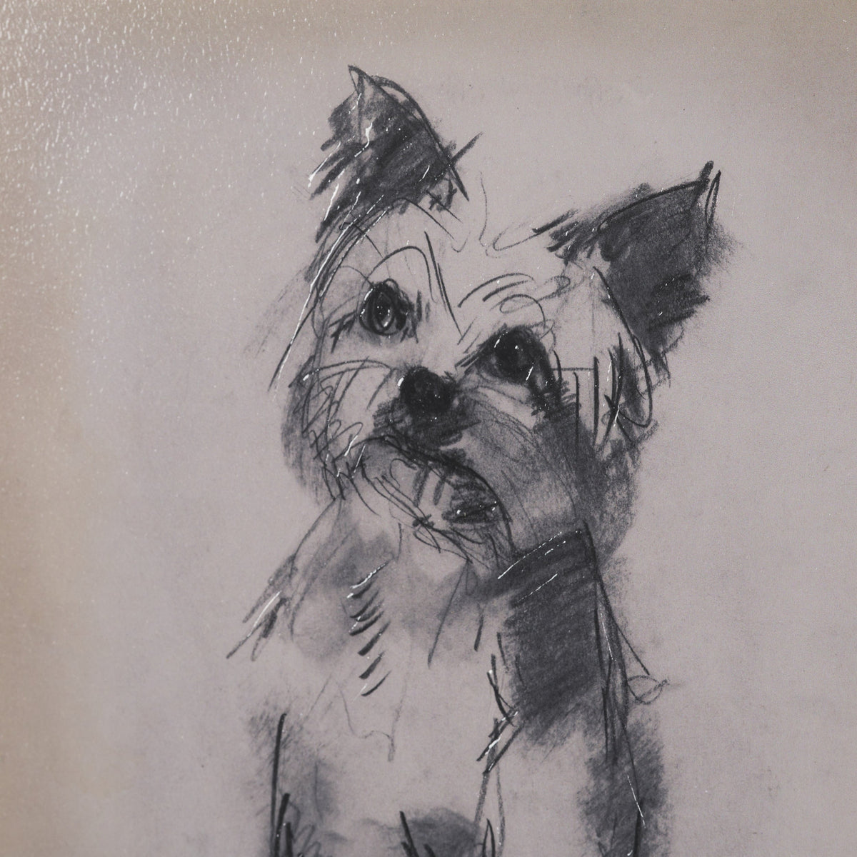 White Scottie by Mercana Studio Hand-Embellished Framed Artwork Matted under Glass by Mercana at Eve Furniture