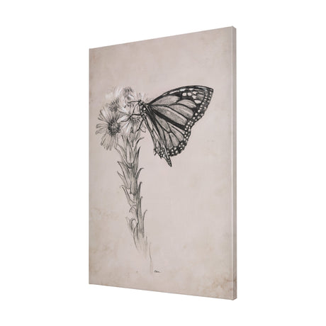 Wild Aster With Monarch Butterfly Drawing III by Mercana Studio a Hand Embellished Textured Canvas by Mercana at Eve Furniture
