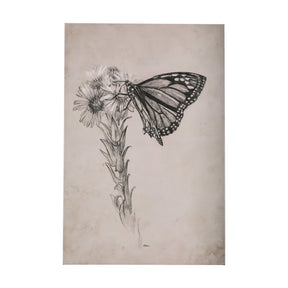 Wild Aster With Monarch Butterfly Drawing III by Mercana Studio a Hand Embellished Textured Canvas by Mercana at Eve Furniture