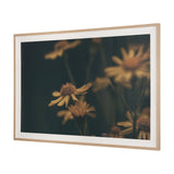 Wild Blooms I by Nathan Larson a Hand Embellished Framed Photo Art Print Matted under Glass by Mercana at Eve Furniture