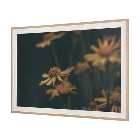 Wild Blooms I by Nathan Larson a Hand Embellished Framed Photo Art Print Matted under Glass by Mercana at Eve Furniture