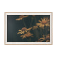 Wild Blooms I by Nathan Larson a Hand Embellished Framed Photo Art Print Matted under Glass by Mercana at Eve Furniture