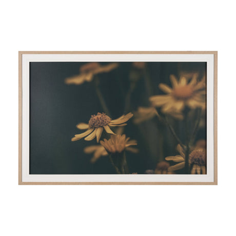 Wild Blooms I by Nathan Larson a Hand Embellished Framed Photo Art Print Matted under Glass by Mercana at Eve Furniture