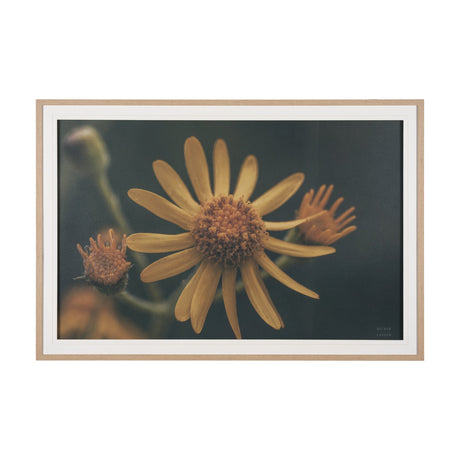 Wild Blooms II by Nathan Larson a Hand Embellished Framed Photo Art Print Matted under Glass by Mercana at Eve Furniture