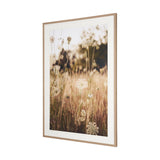 Wild Carrot Flowers by Zaira Zarotti Textured Framed Photo Print Matted under Glass by Mercana at Eve Furniture