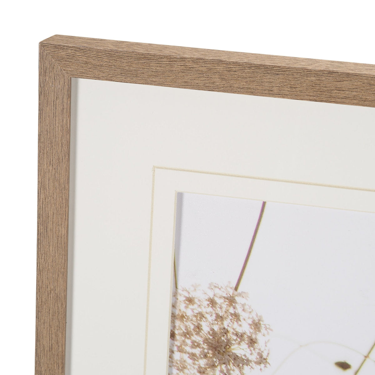 Wild Carrot Flowers by Zaira Zarotti Textured Framed Photo Print Matted under Glass by Mercana at Eve Furniture