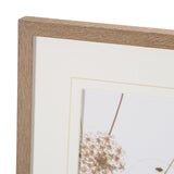 Wild Carrot Flowers by Zaira Zarotti Textured Framed Photo Print Matted under Glass by Mercana at Eve Furniture