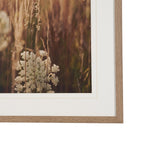 Wild Carrot Flowers by Zaira Zarotti Textured Framed Photo Print Matted under Glass by Mercana at Eve Furniture