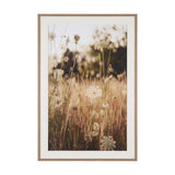 Wild Carrot Flowers by Zaira Zarotti Textured Framed Photo Print Matted under Glass by Mercana at Eve Furniture