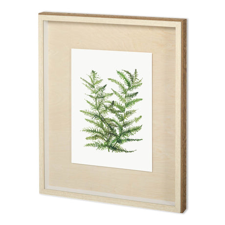 WILD GREENS II by MEYERS a Framed Art Print Matted under Glass by Mercana at Eve Furniture