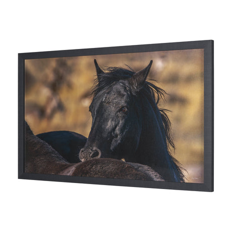 Wild Horses by Gary Blatter a Hand Embellished Textured Framed Photo Art Print by Mercana at Eve Furniture