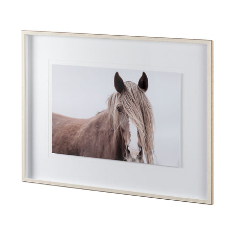 Wild Mane by Mercana Studio a Framed Photo Art Print Matted under Glass by Mercana at Eve Furniture
