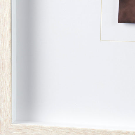 Wild Mane by Mercana Studio a Framed Photo Art Print Matted under Glass by Mercana at Eve Furniture