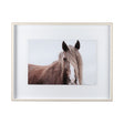 Wild Mane by Mercana Studio a Framed Photo Art Print Matted under Glass by Mercana at Eve Furniture