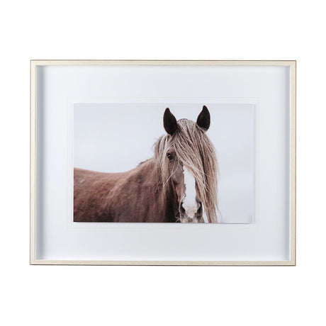 Wild Mane by Mercana Studio a Framed Photo Art Print Matted under Glass by Mercana at Eve Furniture