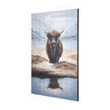 Wild Ox Painting on Wood by Mercana at Eve Furniture