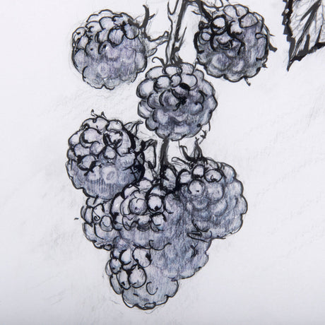 WildBerry Collection Blackberry Mercana Studio Hand Embellished Framed Art Print Matted under Glass by Mercana at Eve Furniture